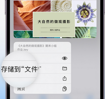 四川apple维修中心分享iPhone文件应用中存储和找到下载文件