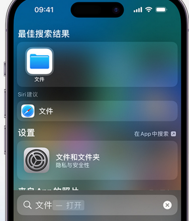 四川apple维修中心分享iPhone文件应用中存储和找到下载文件 