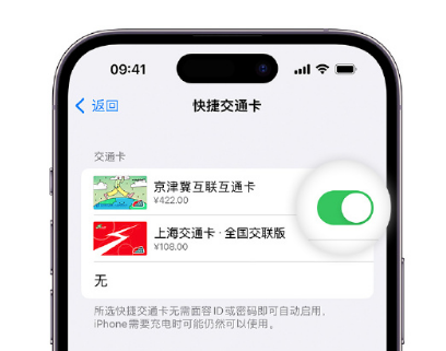 四川apple维修点分享iPhone上更换Apple Pay快捷交通卡手绘卡面 