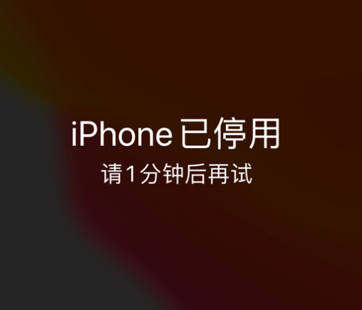 四川苹果手机维修分享:iPhone 显示“不可用”或“已停用”怎么办？还能保留数据吗？ 