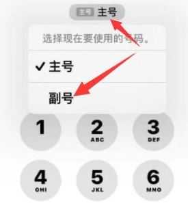 四川苹果14维修店分享iPhone 14 Pro Max使用副卡打电话的方法 