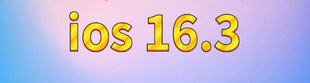 四川苹果服务网点分享苹果iOS16.3升级反馈汇总 