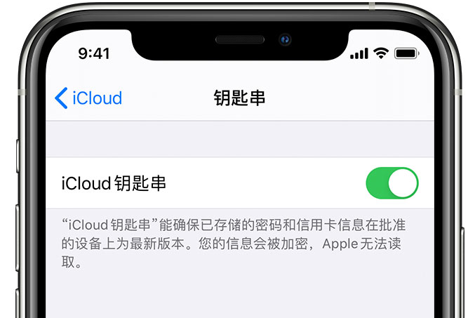 四川苹果手机维修分享在 iPhone 上开启 iCloud 钥匙串之后会储存哪些信息 